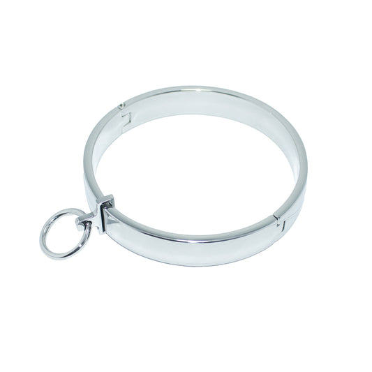Stainless Steel Removable Mount Collar – Secure, Stylish, and Perfect for BDSM Play