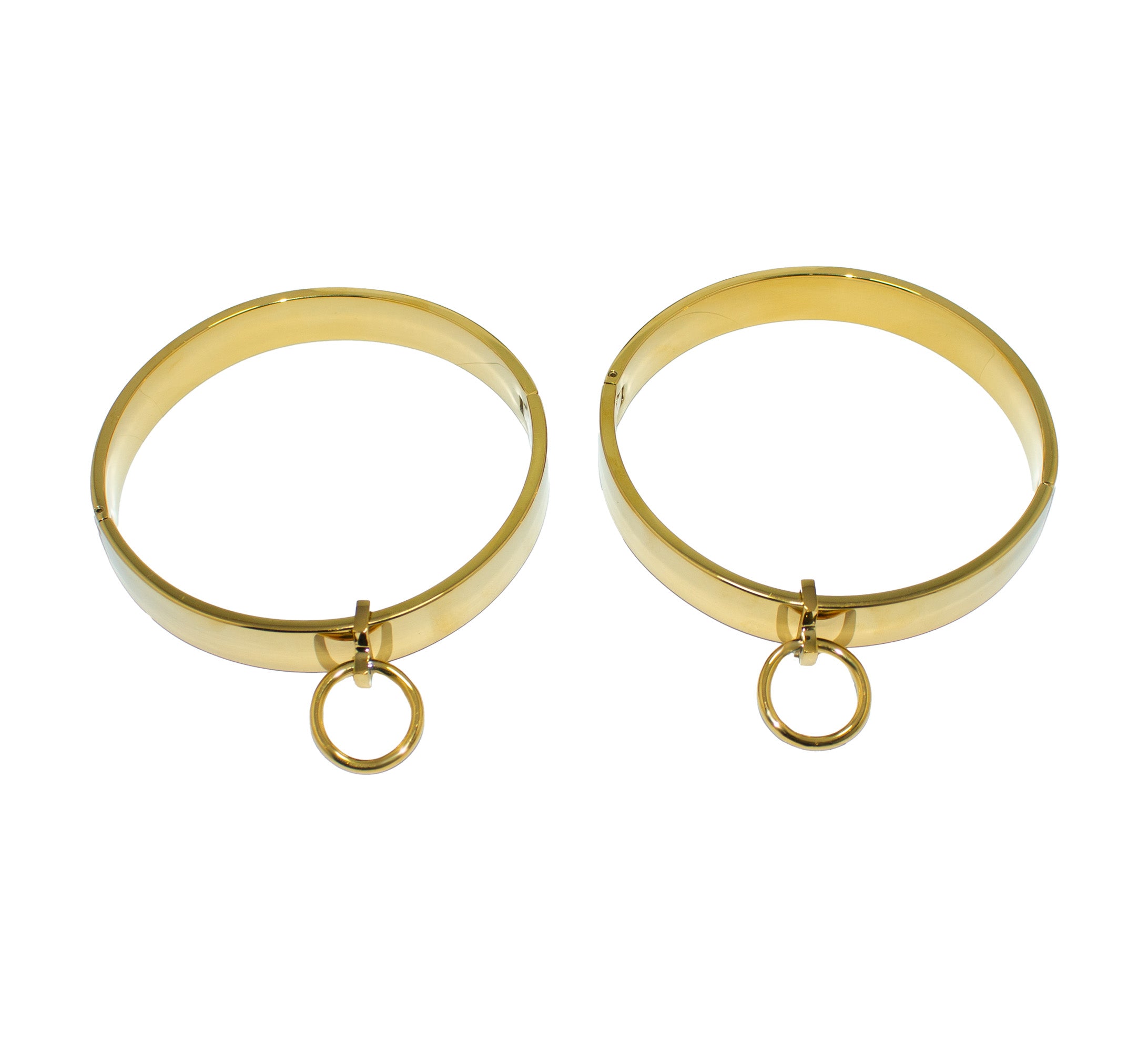 Gold Stainless Steel Removable Pendant Collar – Elegant BDSM Accessory