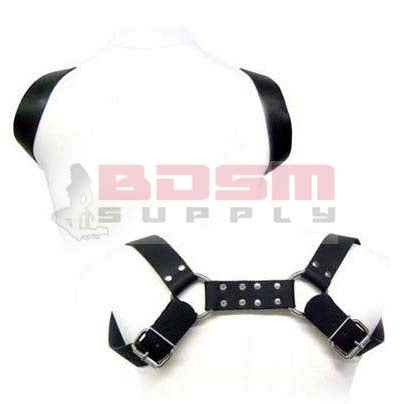 HOLSTER HARNESS