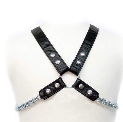 SINGLE CHAIN HARNESS