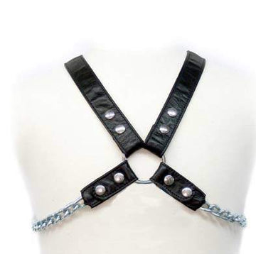 SINGLE CHAIN HARNESS