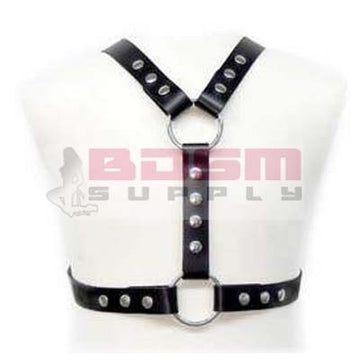 HARNESS WITH METAL SPOTS