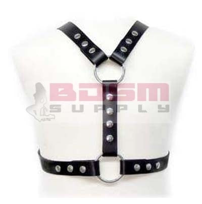 HARNESS WITH METAL SPOTS