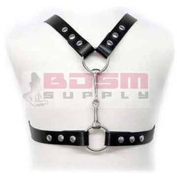 HARNESS WITH METAL BIT