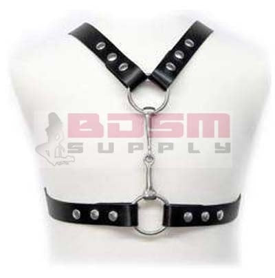 HARNESS WITH METAL BIT