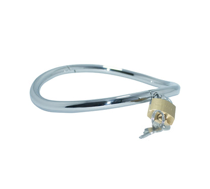 HINGED LOCKING SLAVE COLLAR