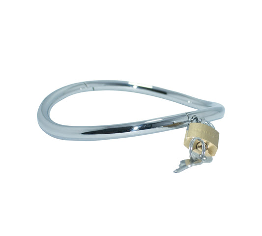 HINGED LOCKING SLAVE COLLAR