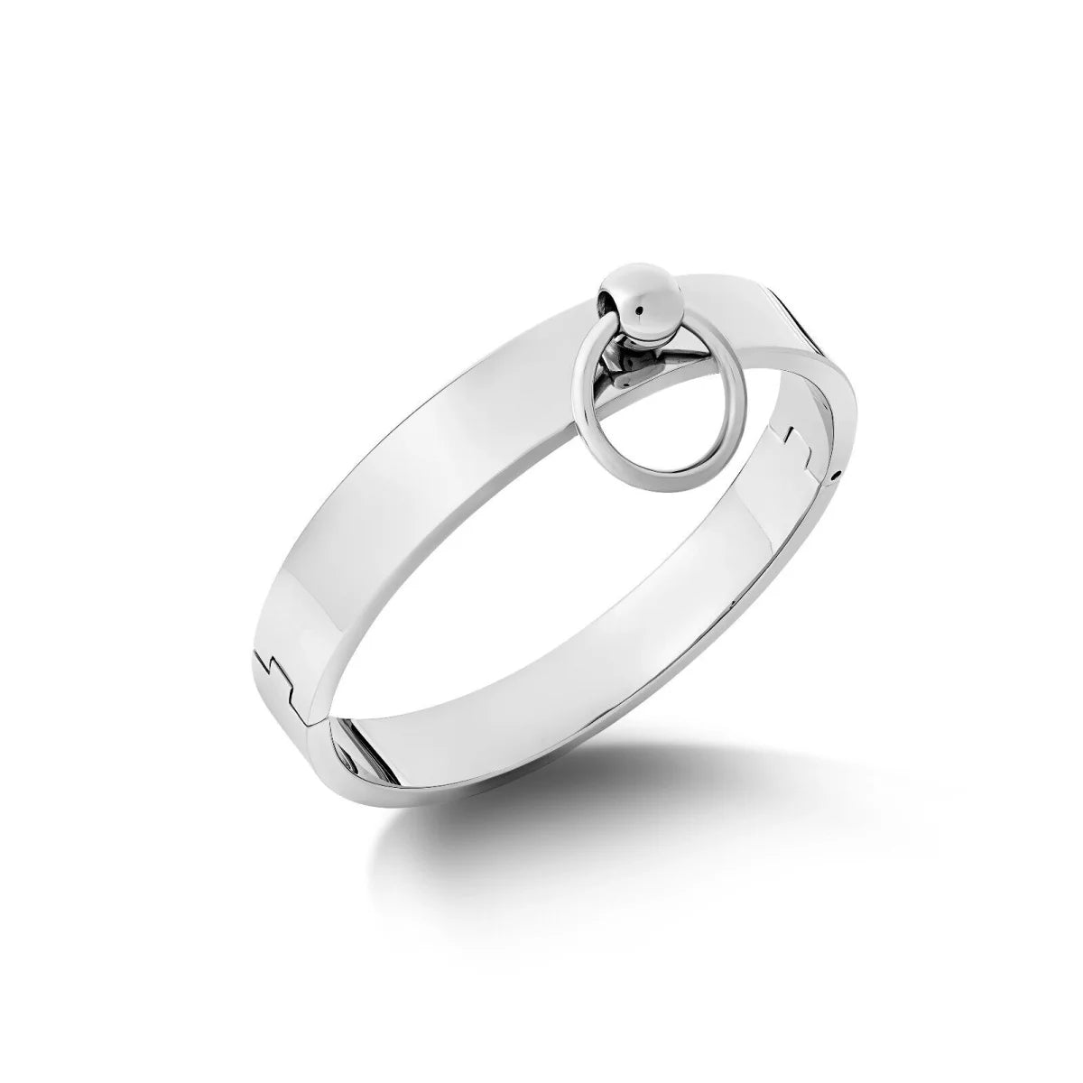 Premium Stainless Steel BDSM Collar with O-Ring – Elegant Restraint for Total Control