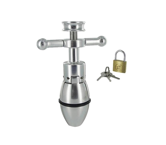 STEEL ASS LOCKABLE PLUG