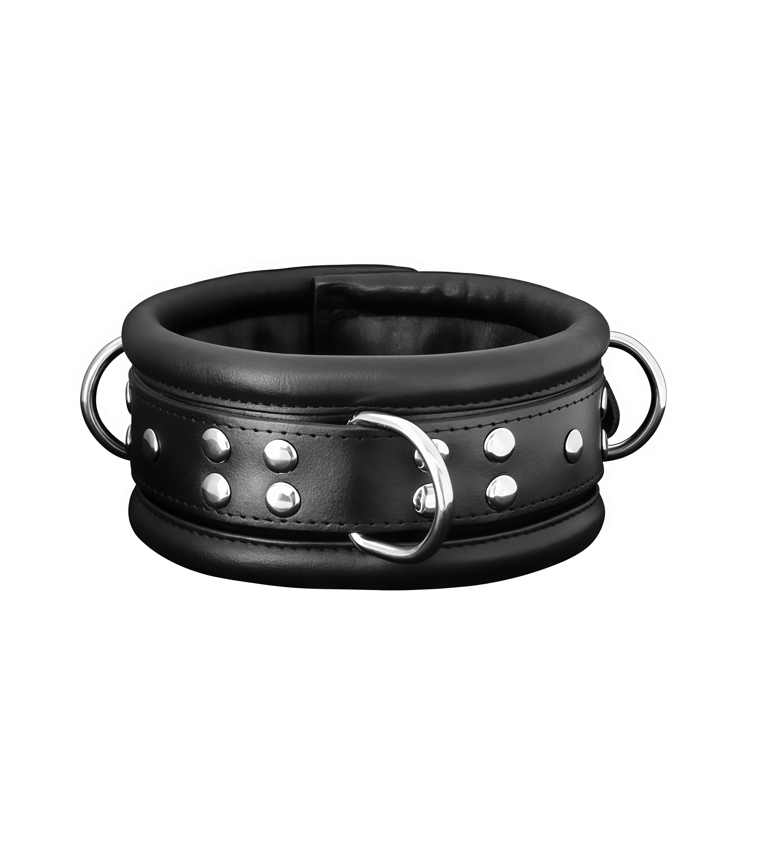 Padded Leather O-Ring Collar – Black with Blue & Red Trim