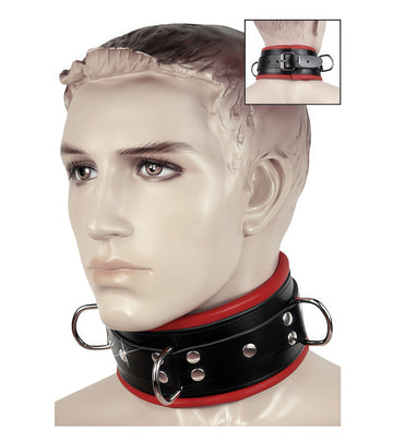 Padded Leather O-Ring Collar – Black with Blue & Red Trim