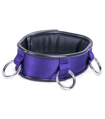 Purple Padded Leather O-Ring Collar