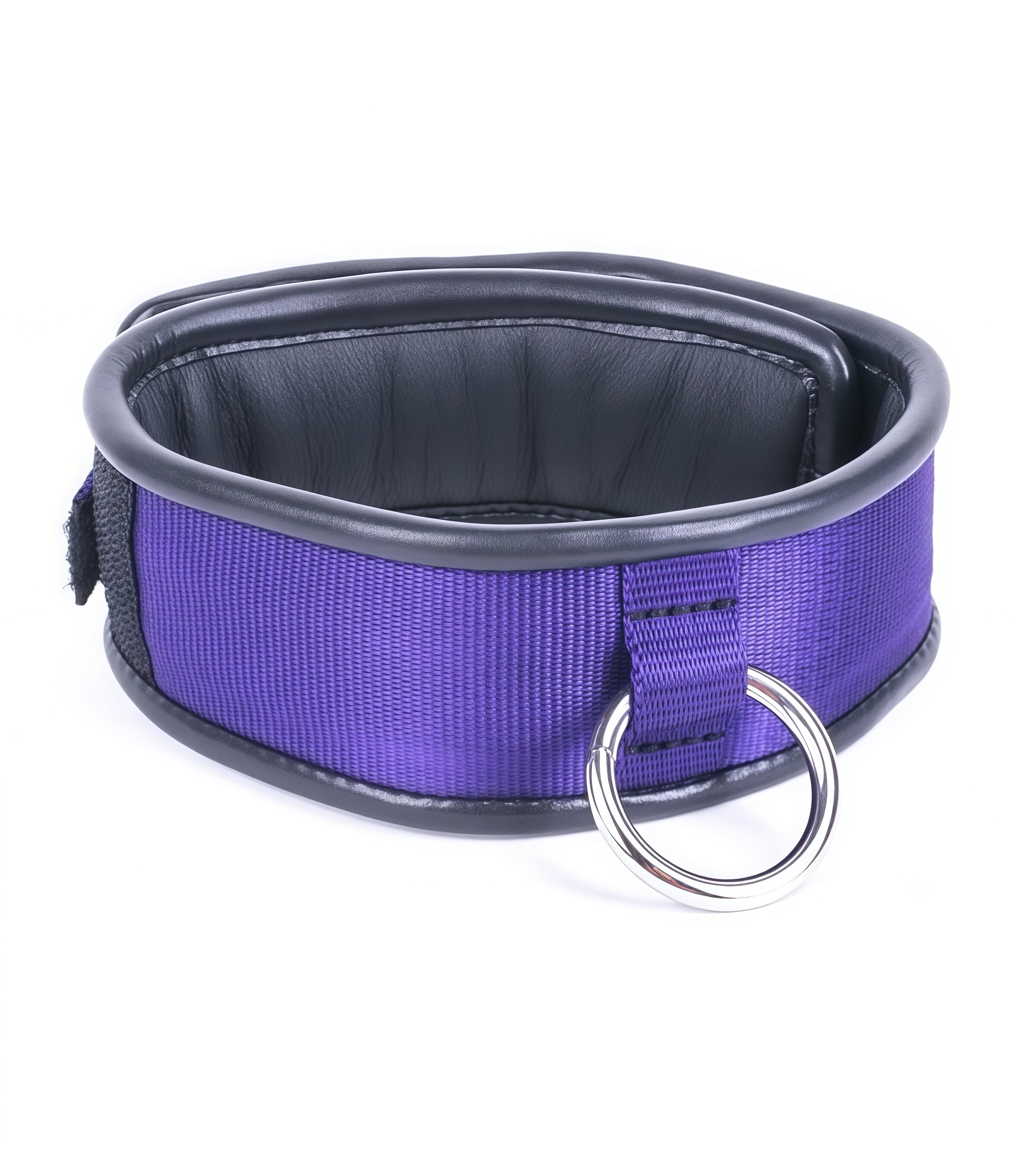 Vibrant Purple & Red  Padded O-Ring Collar for Adult & Alternative Fashion