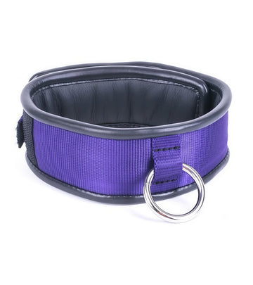 Vibrant Purple & Red  Padded O-Ring Collar for Adult & Alternative Fashion