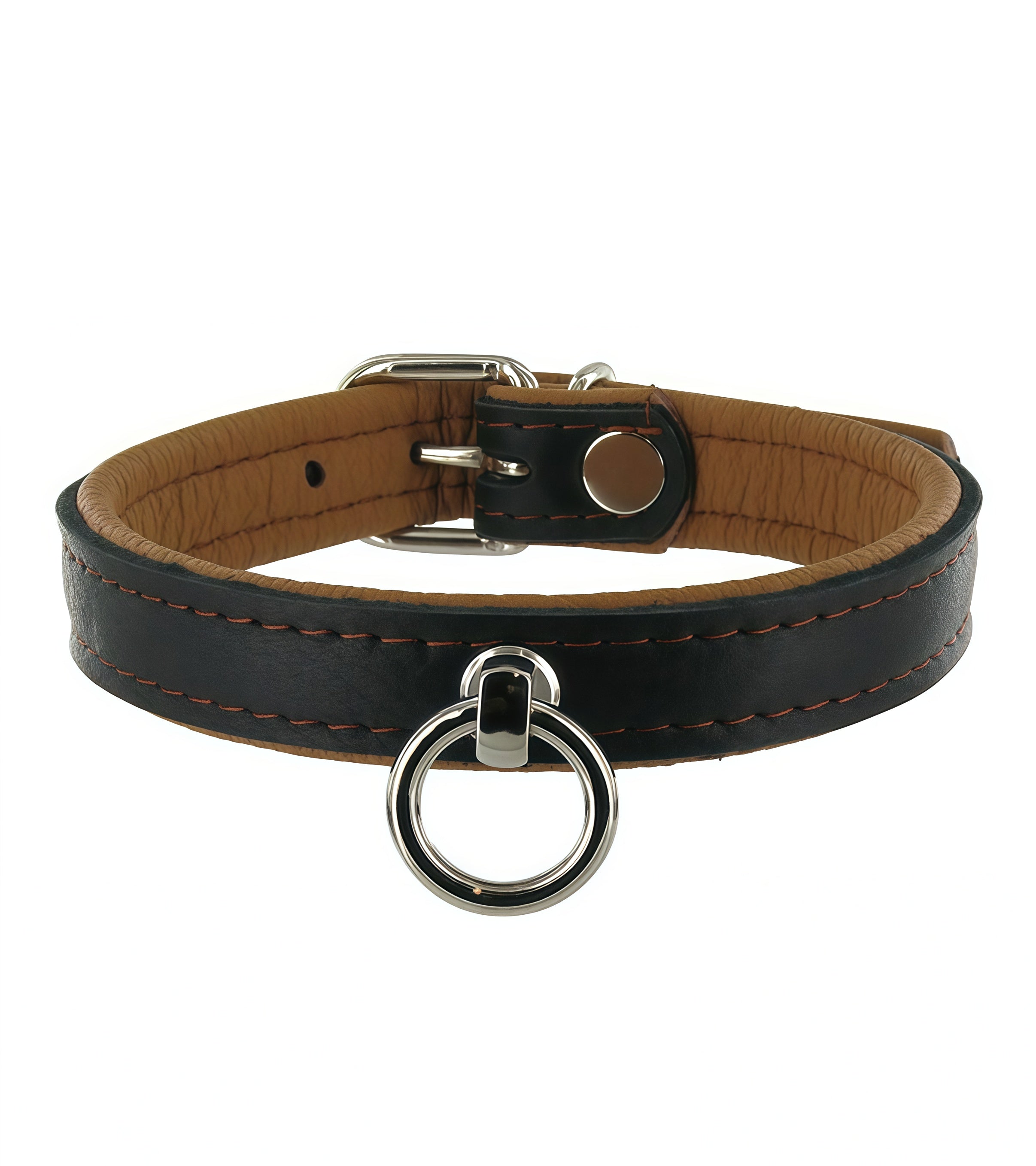 Premium Leather Padded O-Ring Collar in Black, Blue, and Red