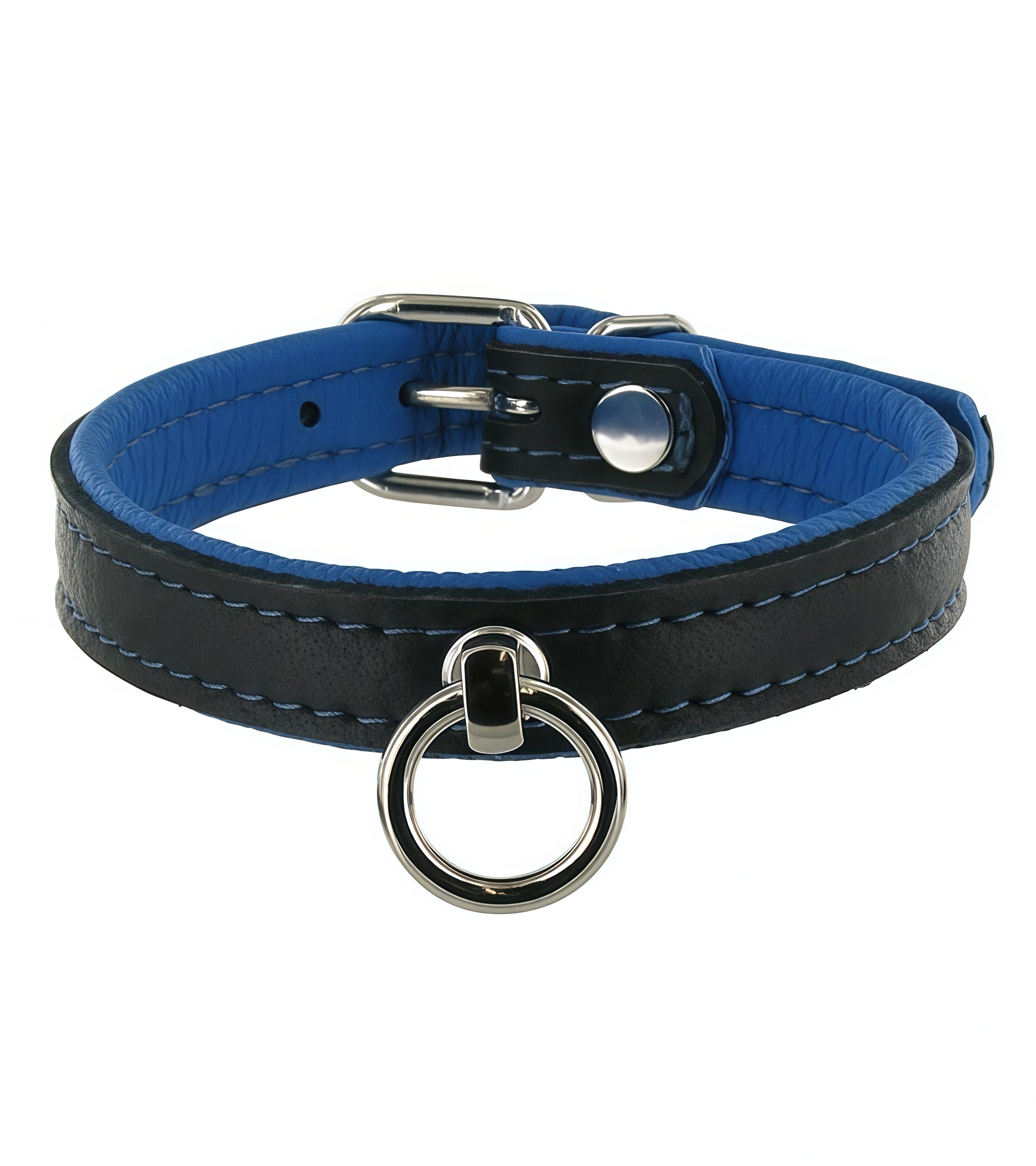 Premium Leather Padded O-Ring Collar in Black, Blue, and Red