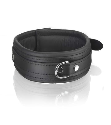 Heavy-Duty Padded Leather Posture Collar in All-Black and Black/Red