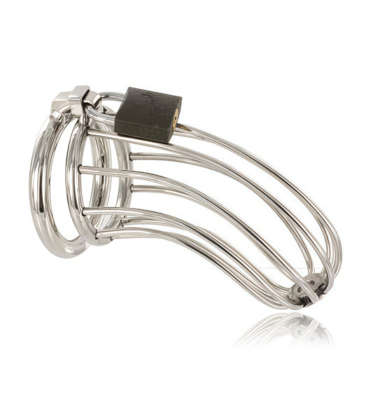 CHASTITY PENIS PLUG